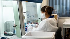 Ricerca all'Istituto Pasteur