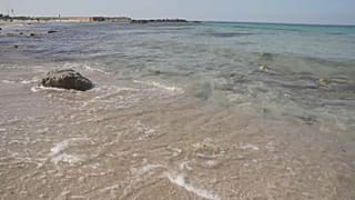 euronews