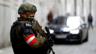 Biztonsági készültség Bécsben