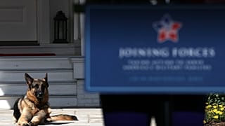 Joe Biden nach Spielen mit Hund verletzt (Archivbild)
