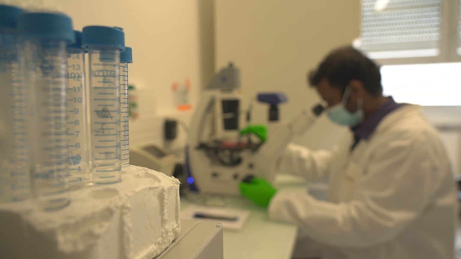 UE quer prevenir 3 milhões de mortes por cancro nos próximos dez anos