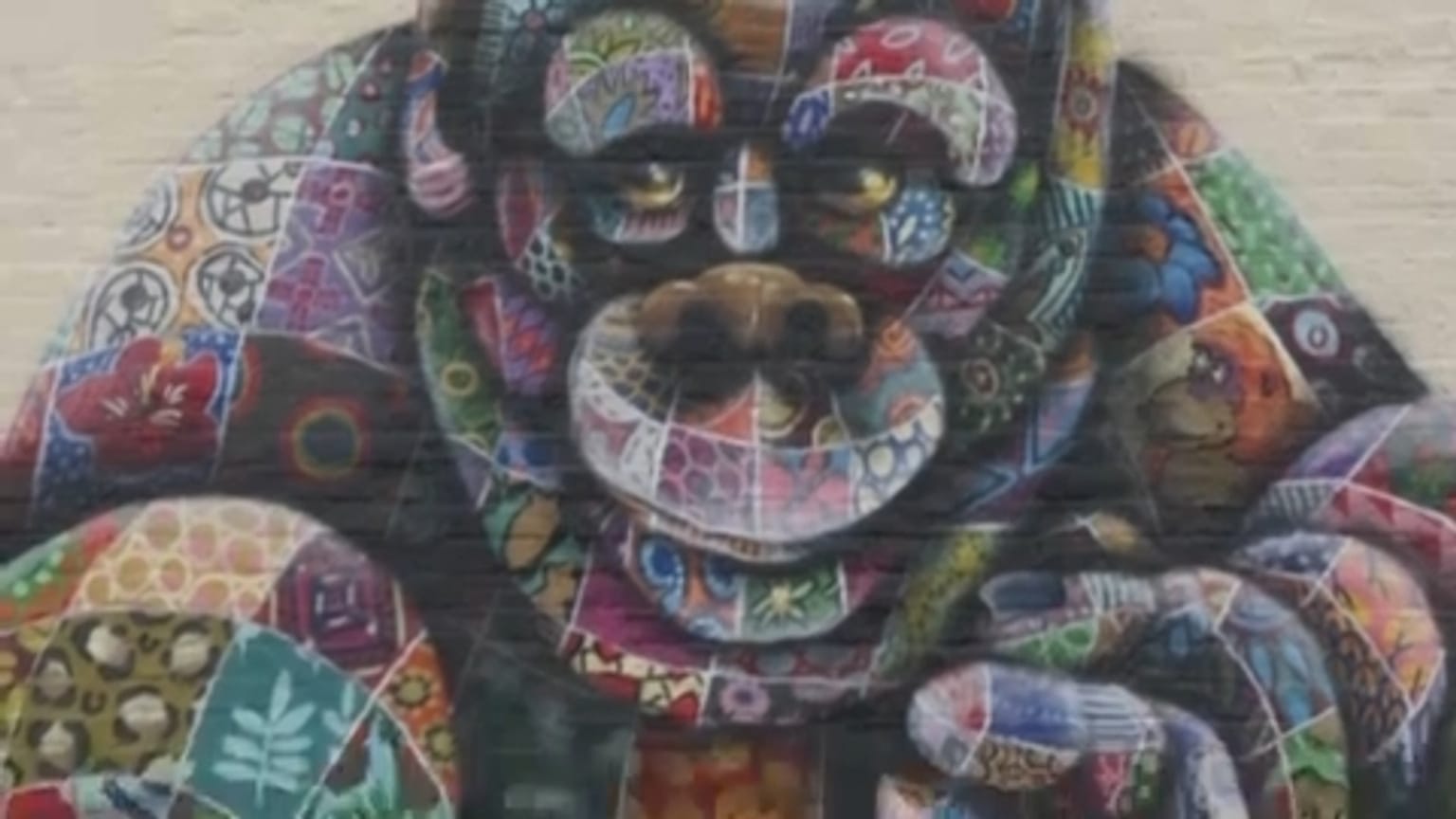 Graffitivel a veszélyeztetett állatokért