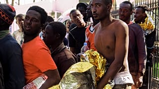 spain migrants