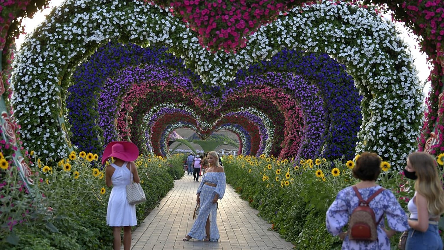 Le "Miracle Garden" ("jardin miracle") est un jardin botanique à Dubaï, ouvert au public entre novembre et mai. Photo prise le 11/11/2020