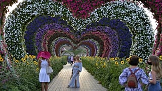 Le "Miracle Garden" ("jardin miracle") est un jardin botanique à Dubaï, ouvert au public entre novembre et mai. Photo prise le 11/11/2020