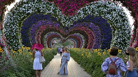 Le "Miracle Garden" ("jardin miracle") est un jardin botanique à Dubaï, ouvert au public entre novembre et mai. Photo prise le 11/11/2020