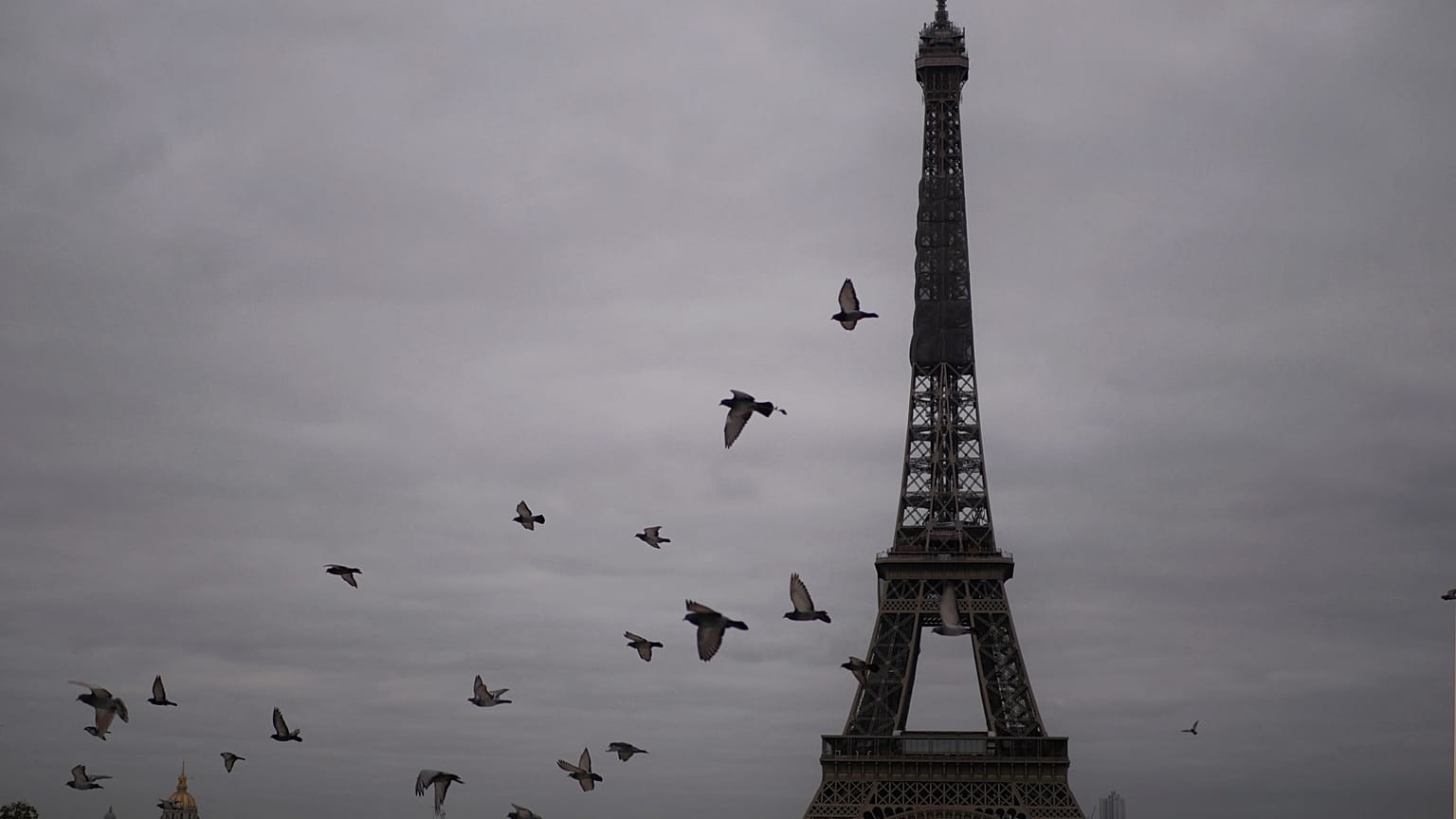The film promoted several conspiracy theories on the COVID-19 pandemic.