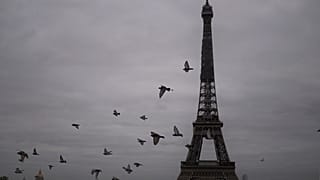 The film promoted several conspiracy theories on the COVID-19 pandemic.