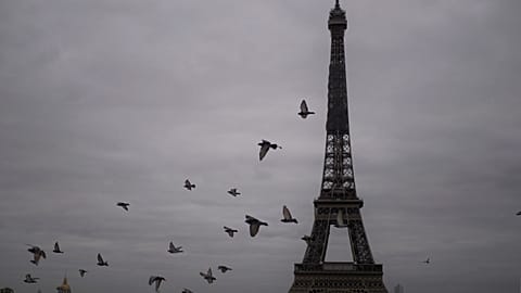 The film promoted several conspiracy theories on the COVID-19 pandemic.