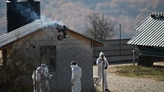 ΔΗΜΗΤΡΗΣ ΤΟΣΙΔΗΣ