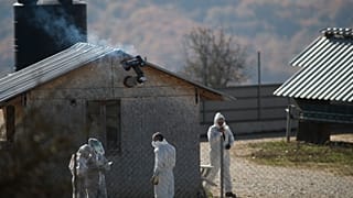ΔΗΜΗΤΡΗΣ ΤΟΣΙΔΗΣ