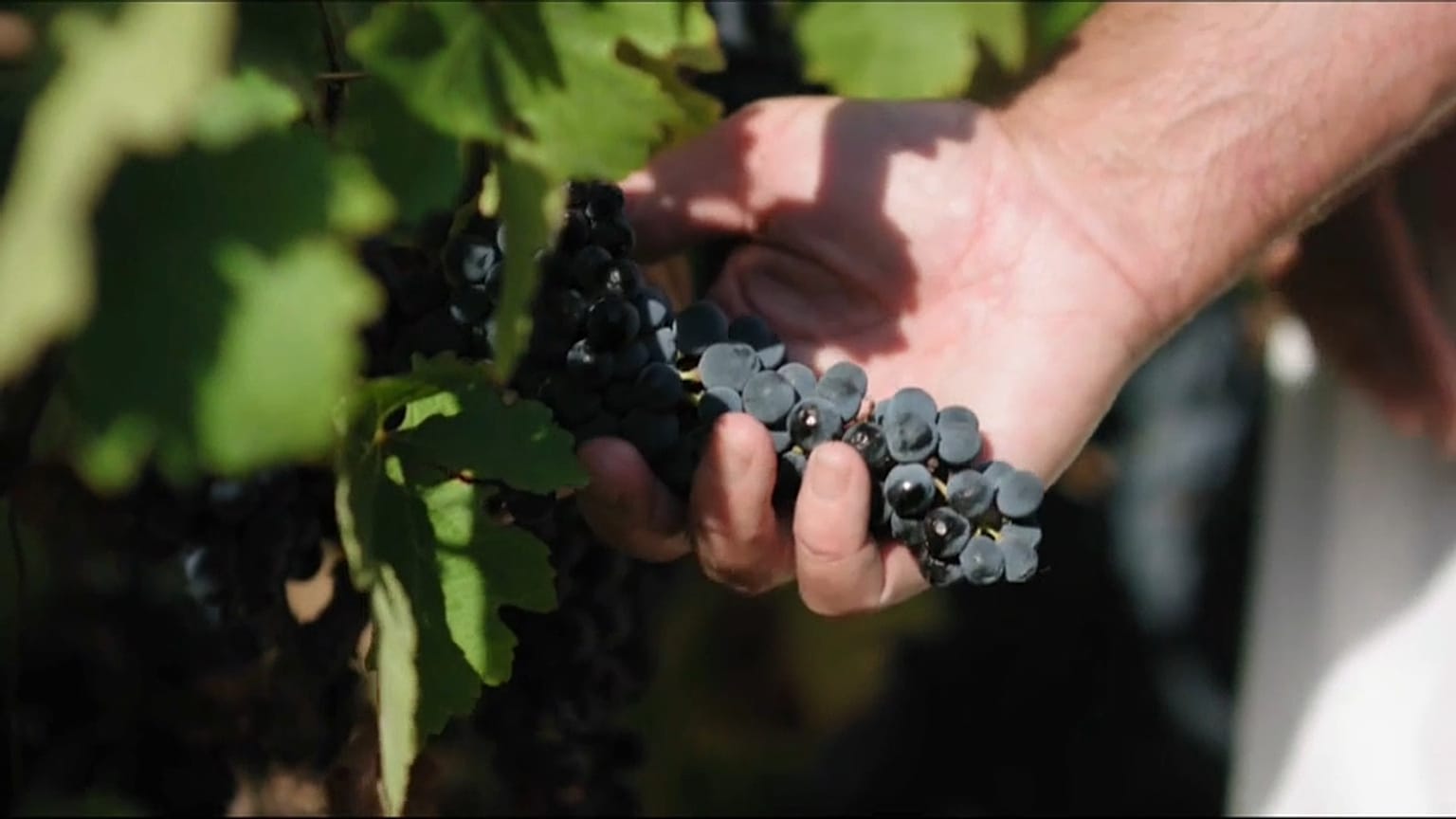 Sfida Regno Unito-Francia all'ultima bottiglia di Beaujolais