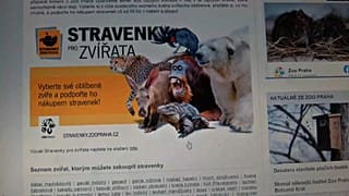 Страница сайта пражского зоопарка