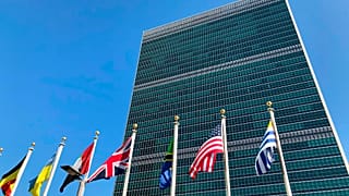 Die Vereinten Nationen 