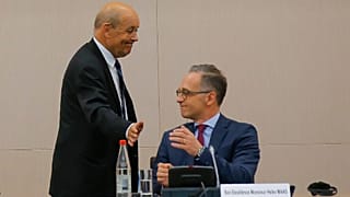 LE DRIAN MAAS