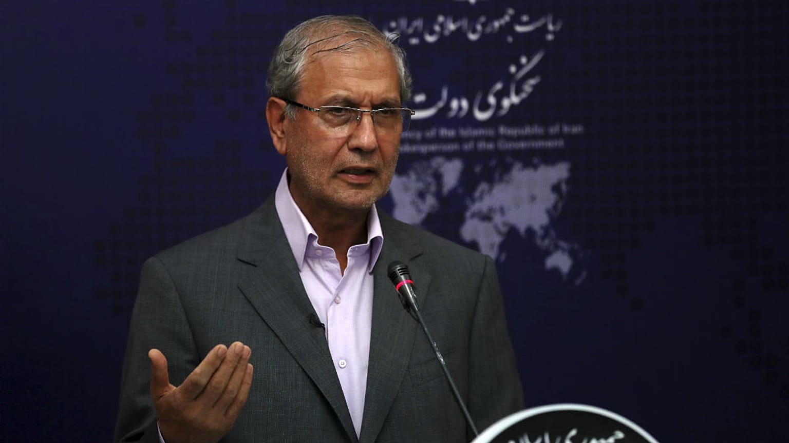 علی ربیعی، سخنگوی دولت ایران
