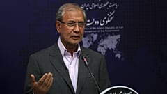 علی ربیعی، سخنگوی دولت ایران