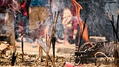 Deep Ghotane from Pixabay 