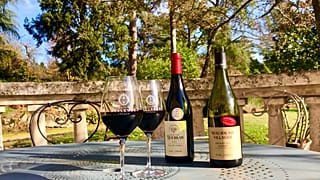 Beaujolais nouveau 2020