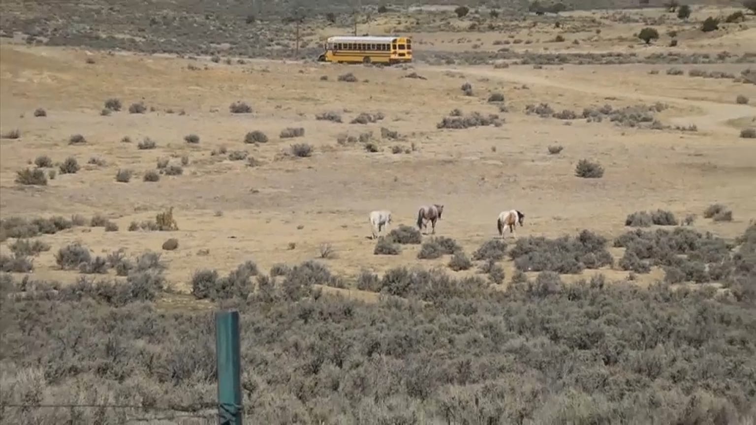 Bus escolar de Arizona