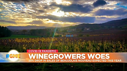 Vineyard in France's Beaujolais region