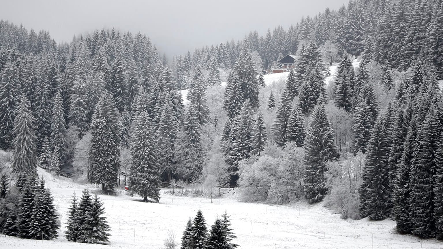 Schnee in Bayern