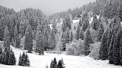 Schnee in Bayern