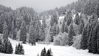 Schnee in Bayern
