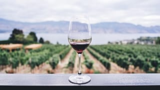 Weinregion des Okanagen Valley in Kanada 
