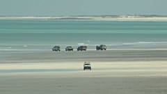 Tödlicher Hai-Angriff in Australien