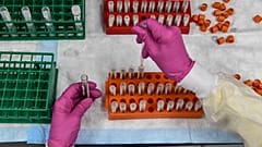 Neuer Covid-Impfstoff: Astrazeneca-Vakzin zu 70 Prozent wirksam 