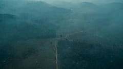 Леса Амазонии в дыму пожаров