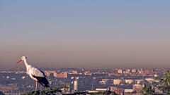 Experten: Europas Luft wird sauberer