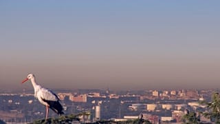 Az elmúlt tív évben folyamatosan tisztul a levegő Európa felett