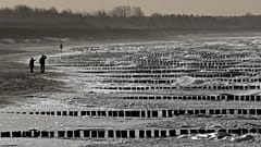 An der Ostsee