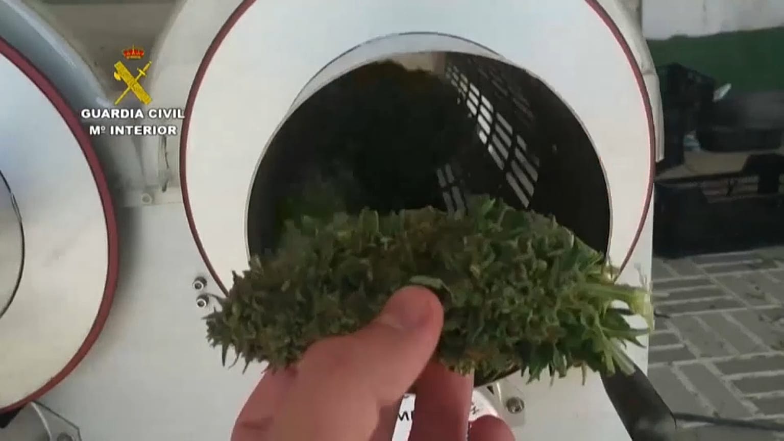 Marijhuana