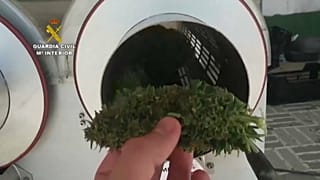 Marijhuana