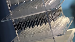 BioNTech ve Pfizer, Moderna ile AstraZeneca ve Oxford Üniversitesi koronavirüs aşısı çalışmalarını sürdürüyor