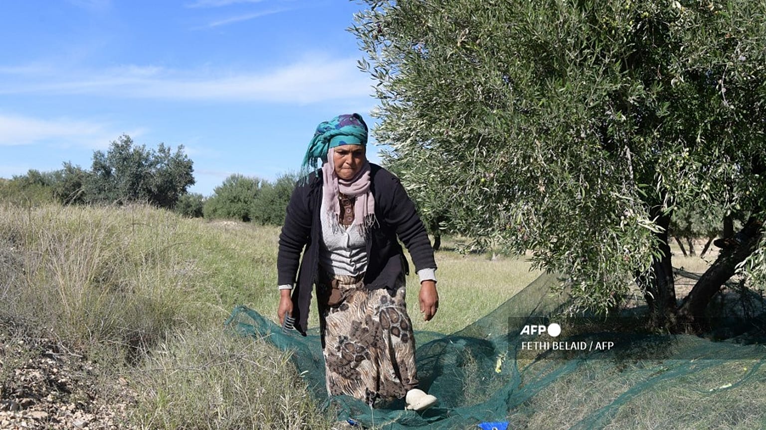 صورة من الأرشيف، عاملة زراعية تونسية