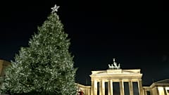 Christbaum vor dem Brandenburger Tor.