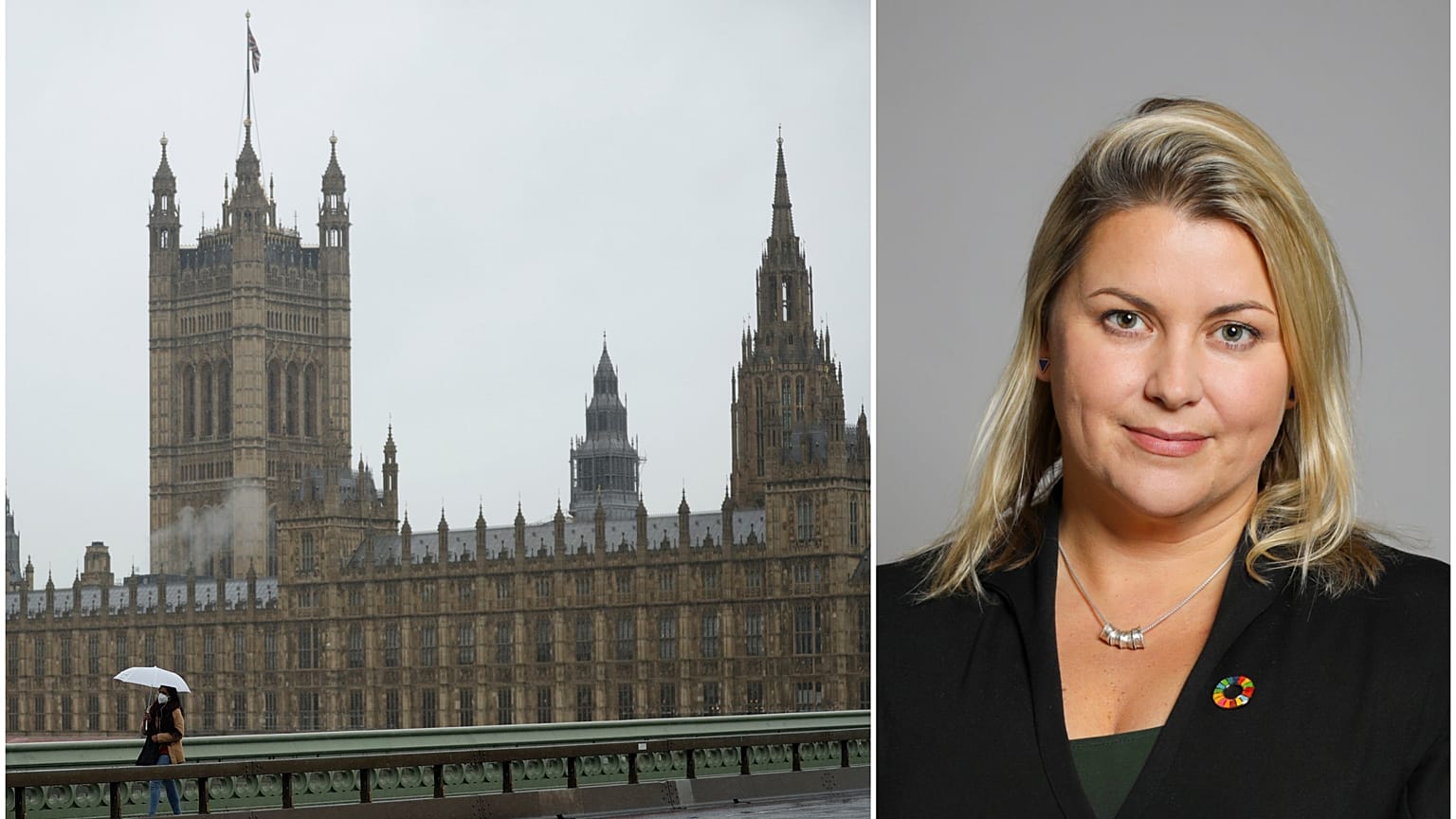 Westminster Parlamentosu / Liz Sugg