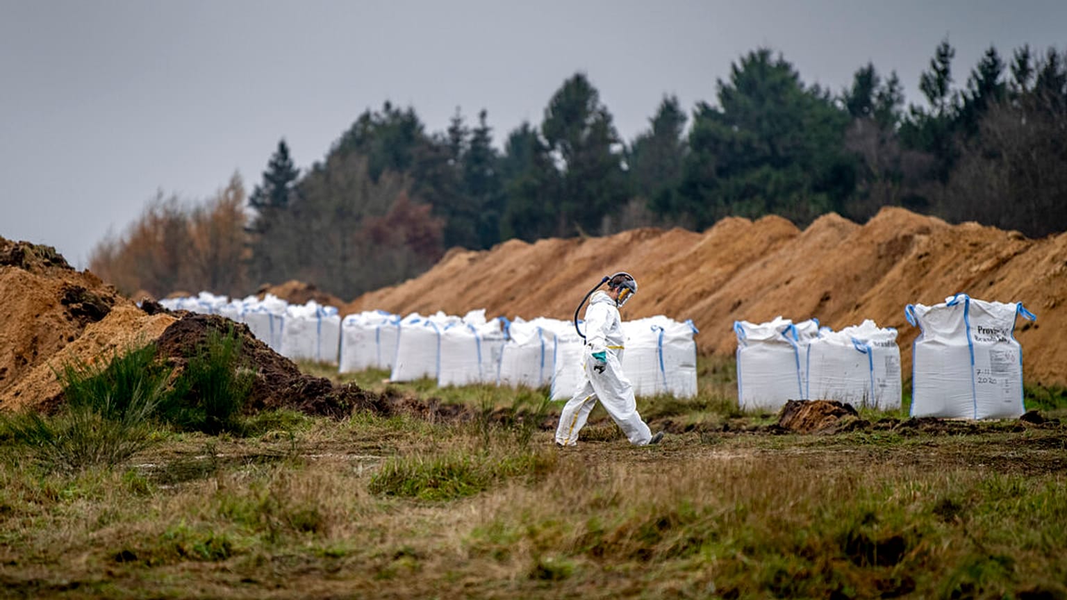 Massengrab für Nerze in Dänemark