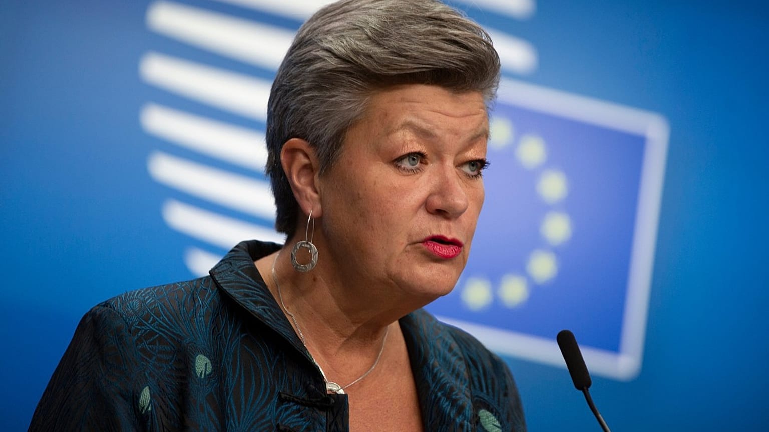 ylva johonsson 
