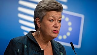 ylva johonsson 