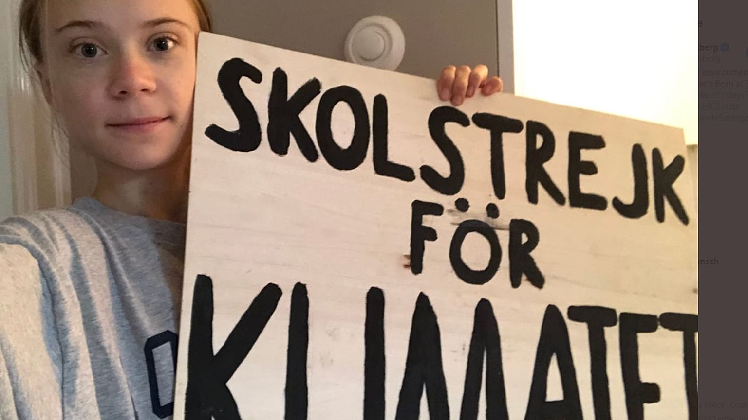 Greta Thunberg auf Twitter