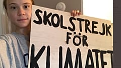 Greta Thunberg auf Twitter
