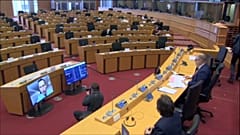 Virtuelles Treffen Navalnys mit dem Europäischen Parlament
