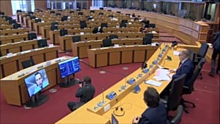 Virtuelles Treffen Navalnys mit dem Europäischen Parlament