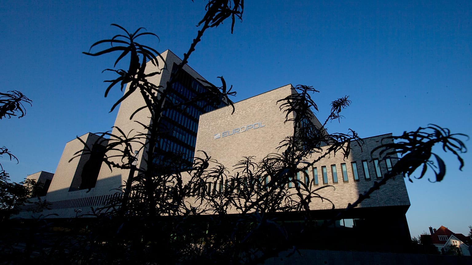 Europol described the operations as the "biggest ever crackdown" on drug smuggling from Brazil to Europe.