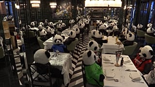 Un comerciante llena su local de osos panda de peluche para protestar contra el cierre del mismo